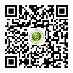 微信公众号二维码